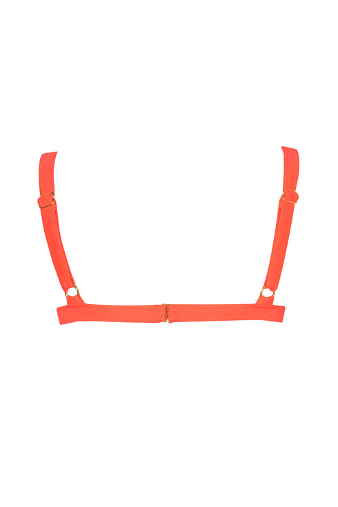 Amber Roar Taylor Top